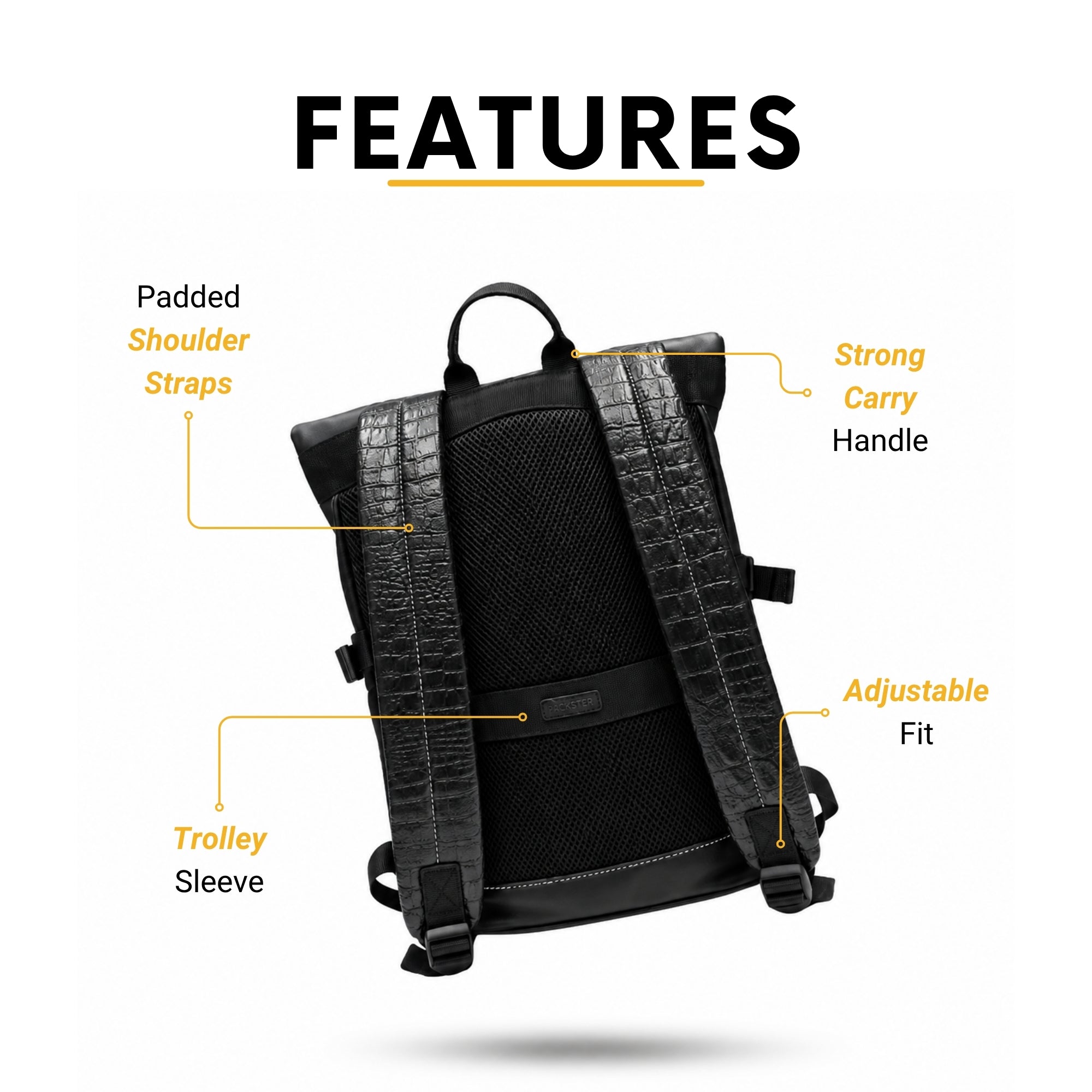 Packster CXR Origin Flap Top 19.5L Black Backpack for Men & Women